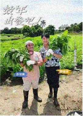 网飞猫官网 向往的生活 综艺